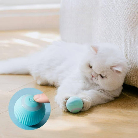 Rotating Cat Toy Ball, Interactive Cat Toys Rechargeable Rotating Ball with LED- Brand Kiosk Store