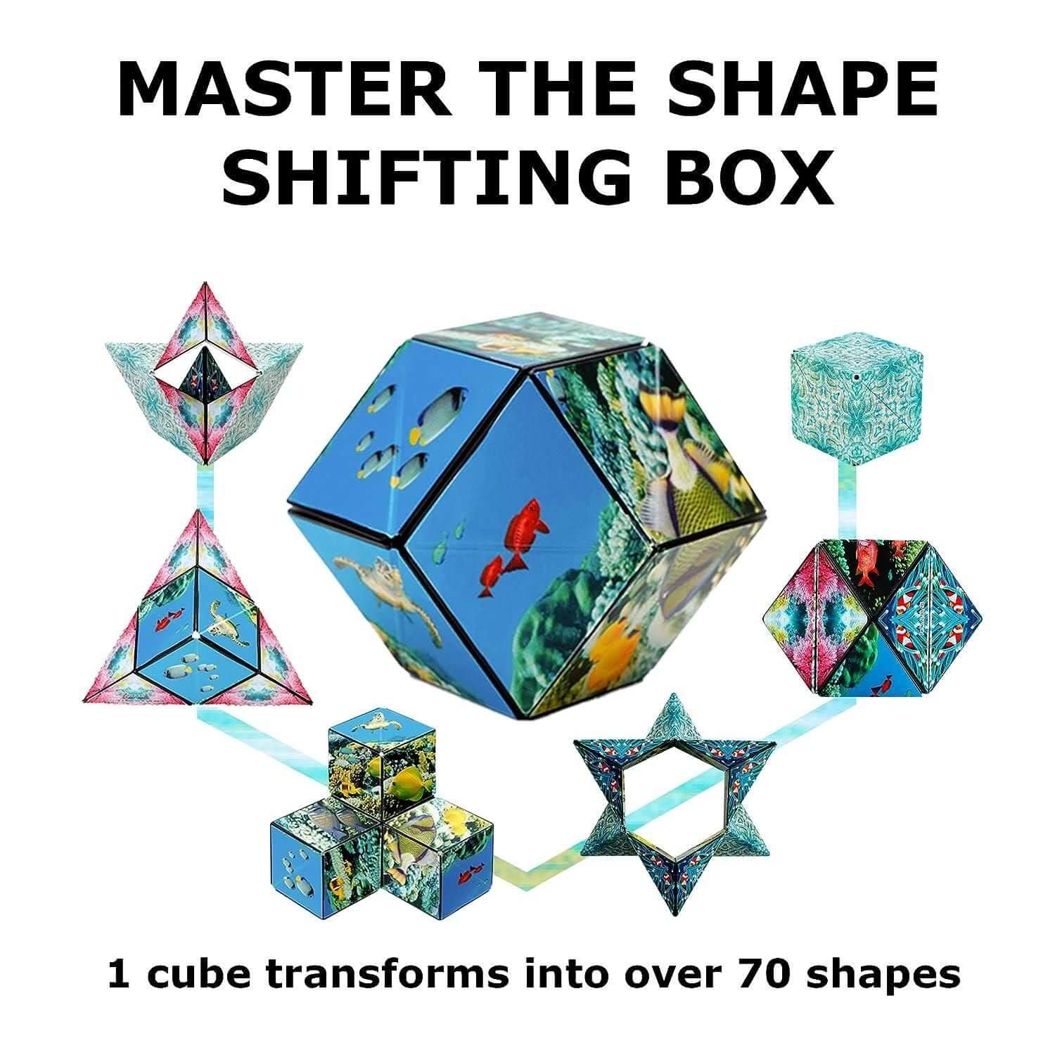 Magnetic Shape Shifting Box- Brand Kiosk Store