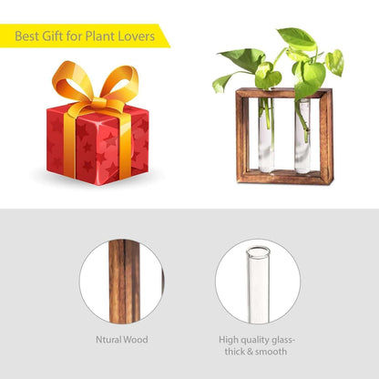 Glass Planter with Wooden Stand- Brand Kiosk Store