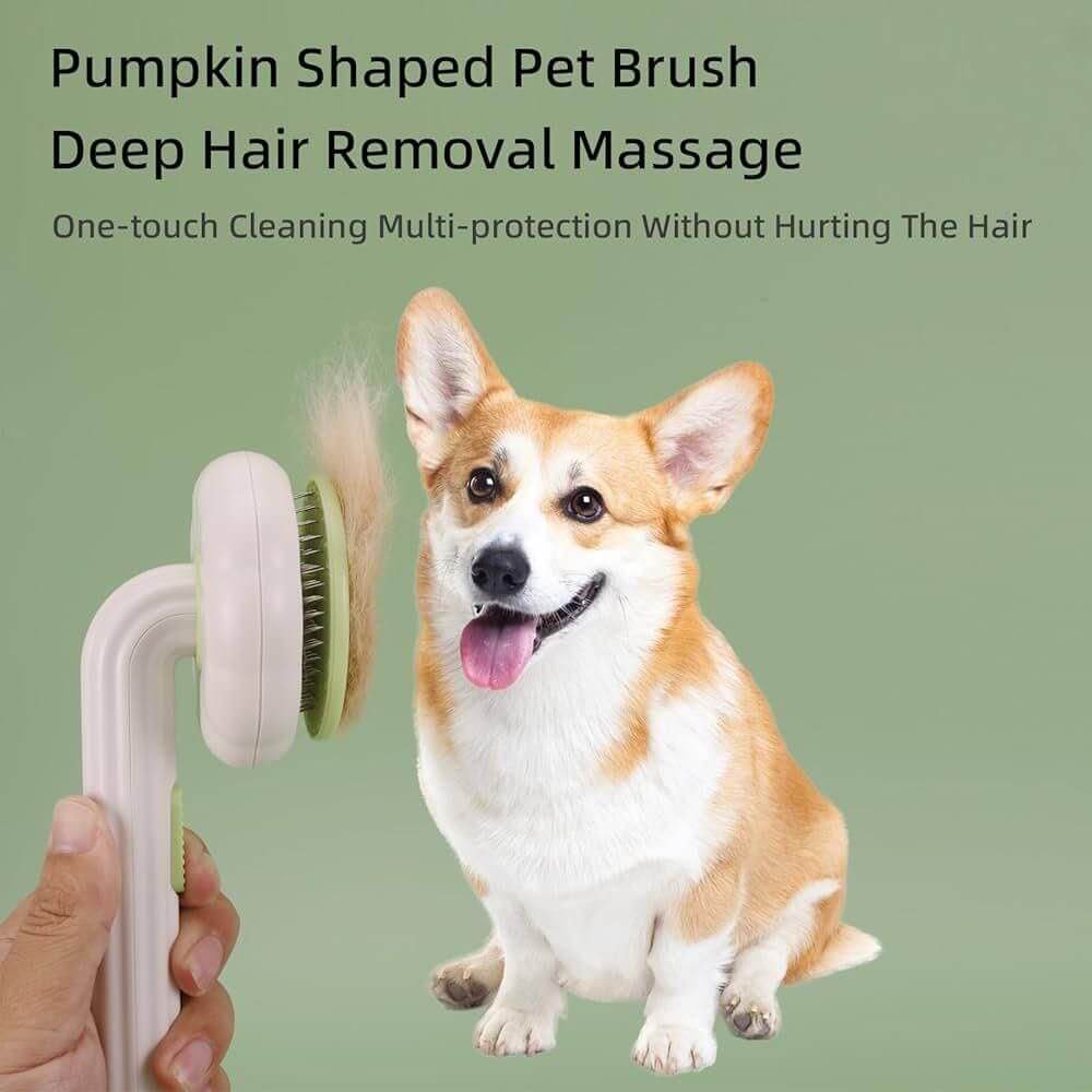 Cat and Dog Grooming Brush for Easy Hair Removal- Brand Kiosk Store