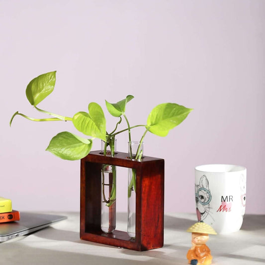 Glass Planter with Wooden Stand- Brand Kiosk Store