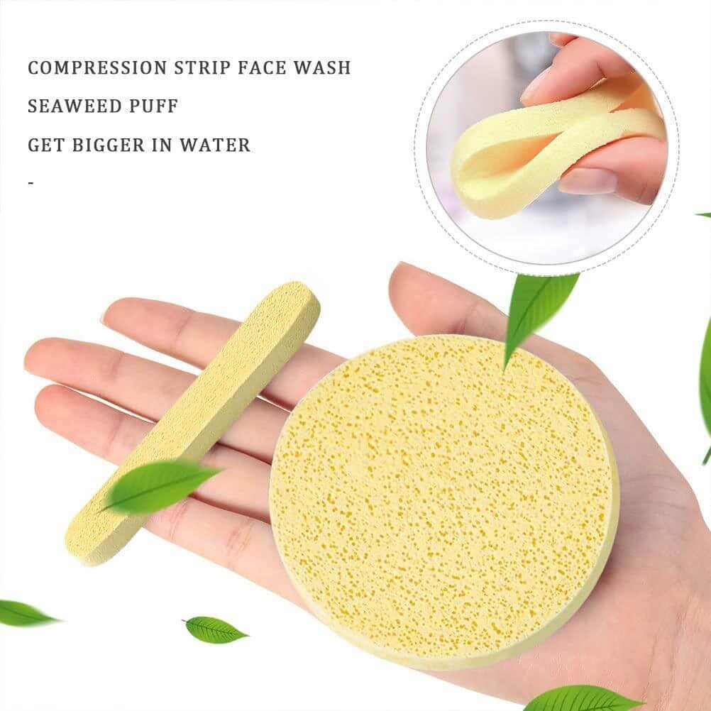 12 PCS Compressed Facial Sponge, Face Cleansing Sponges with Storage Container- Brand Kiosk Store