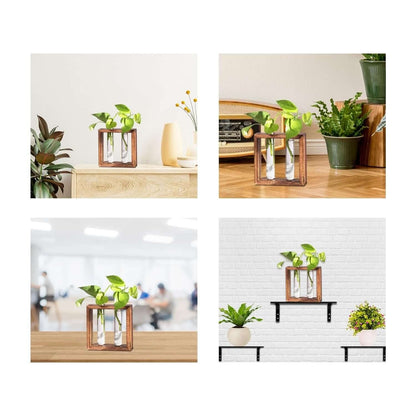 Glass Planter with Wooden Stand- Brand Kiosk Store