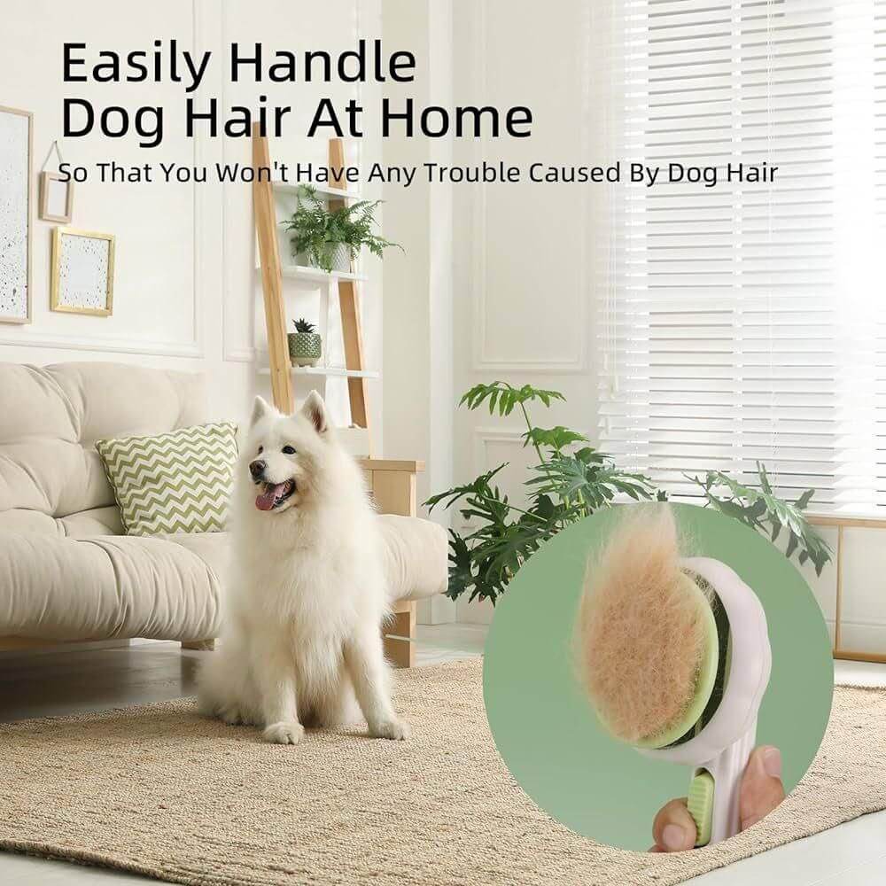 Cat and Dog Grooming Brush for Easy Hair Removal- Brand Kiosk Store